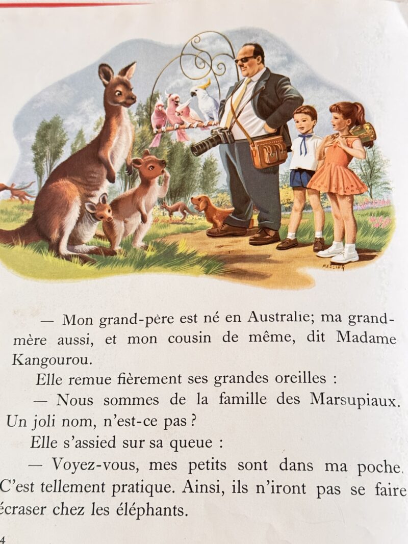 Livre Martine au zoo – Image 4