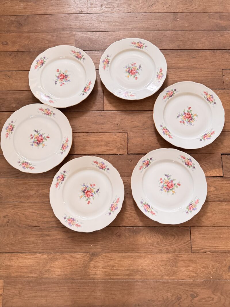 6 assiettes porcelaine anciennes – Image 5